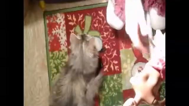 Как сделать костюм супер кошки для кукол. смотреть онлайн