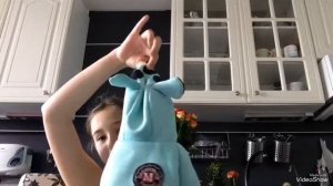 Вещи которые нужно приобрести для щенка йоркширского терьера?-Йорки И всё о них