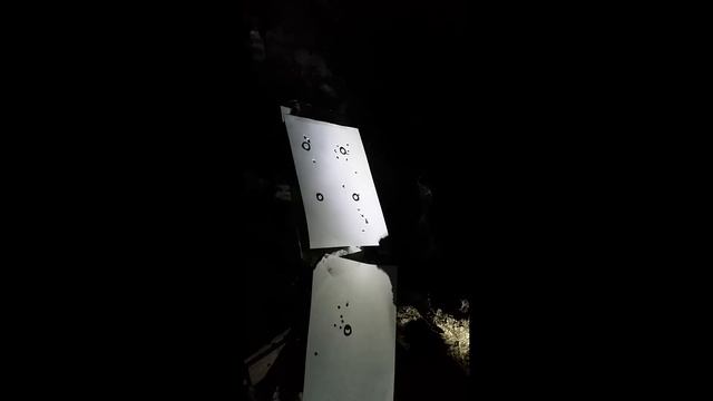 FX Wildcat 0.25 отстрел JSB 1.6 90м смотреть онлайн