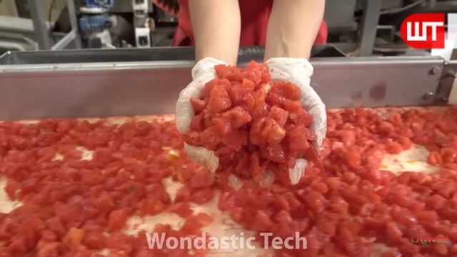 How Tomato Ketchup Is Made | Tomato Harvesting And Processing to Ketchup | Food Factory смотреть онлайн