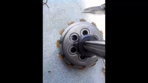 Patriot Garden Nevada T 7 /1000 2FB