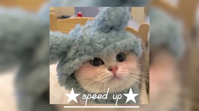 близкие люди - ★speed Up★