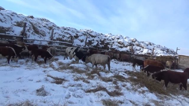 Скрестите шпаги господа!!! смотреть онлайн