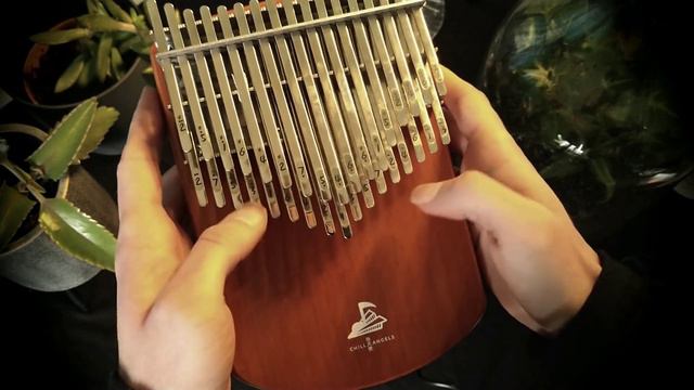 The Theory of Everything: Domestic Pressures - 34 key kalimba cover with Tabs смотреть онлайн