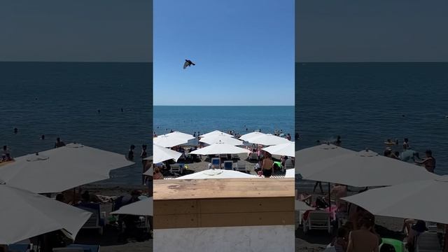 03.07.2023. Погода в Сочи в июле.Смотри на Чёрное море каждый день. смотреть онлайн