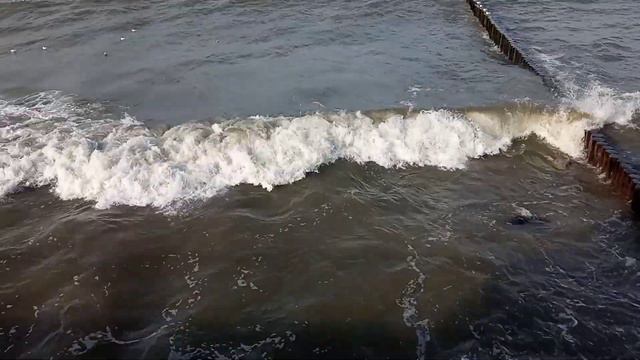 Море, море, мир бездонный,Пенный шелест волн прибрежных смотреть онлайн