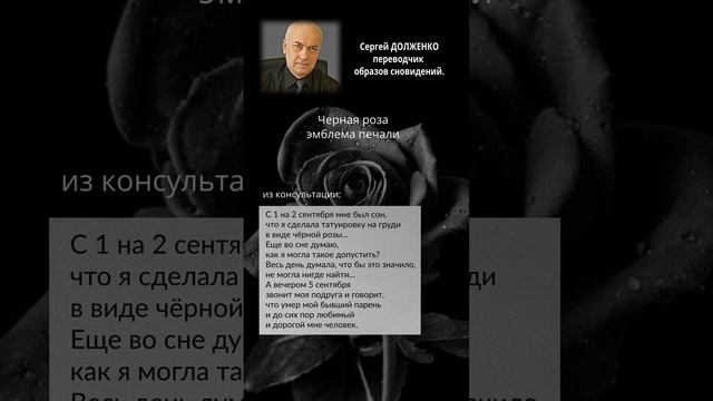 РОЗЫ ВО СНЕ смотреть онлайн