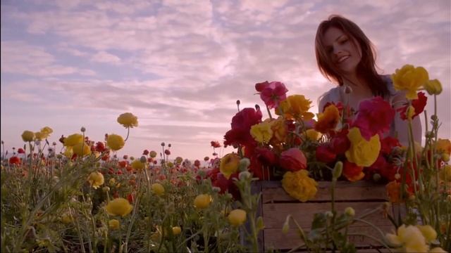 HDR10, Dolby Vision, HDR10+ And HLG (What Are The Differences And Which One Is The Best?)