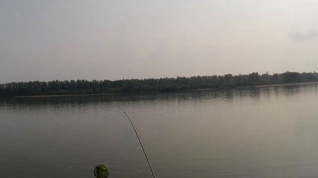 Рыбалка на Оби, донку и фидер в с. Пристань-Почта Новосибирской области. Походная баня смотреть онлайн