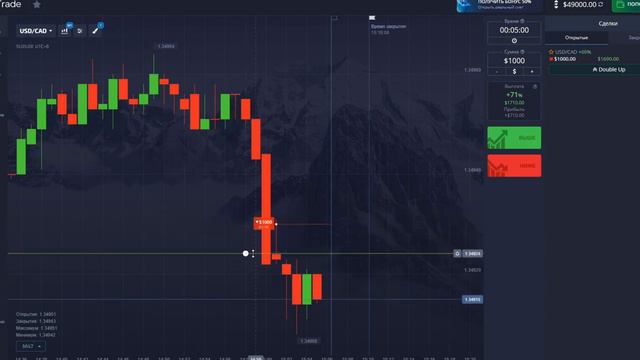 Бот для Pocket Option в Телеграме