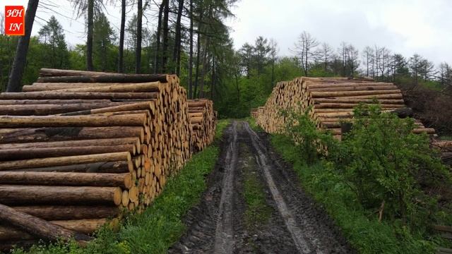 Пластик спасет человечество?