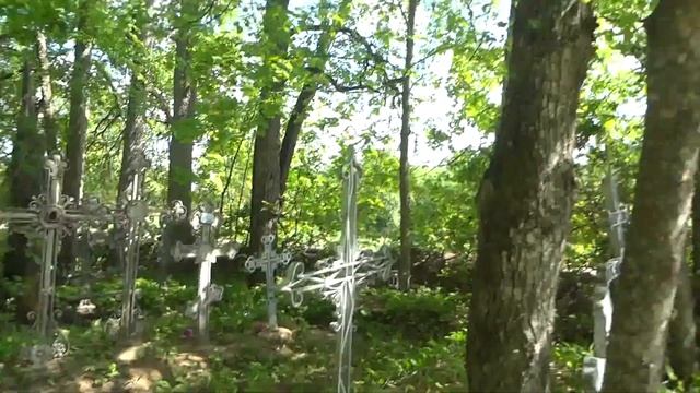 Поездка в Ложголово - райский уголок смотреть онлайн