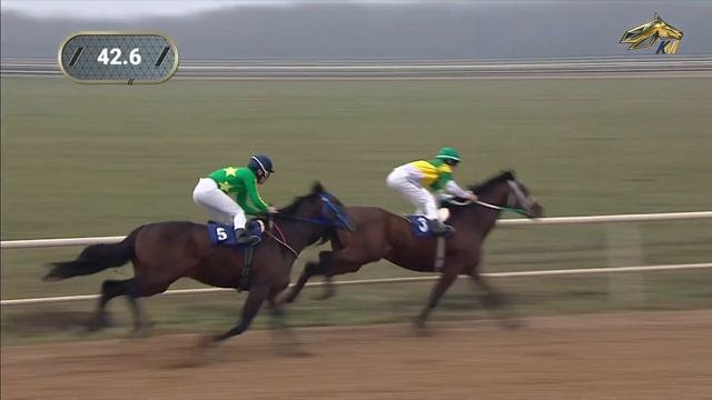 2-я Скачка. Приз в честь сотрудника органа внутренних дел РФ. Павловский ипподром 20 ноября 2022 смотреть онлайн