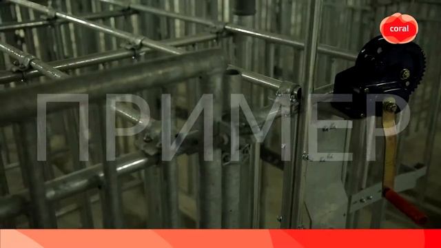 Коралл мясная продукция смотреть онлайн
