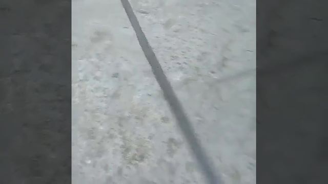 самодельный меч катана из линейку? смотреть онлайн