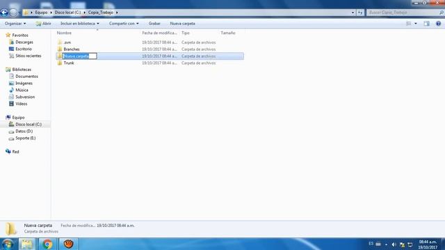 Crear Estructura SVN