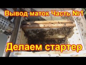 Вывод маток Часть №1, Делаем стартер