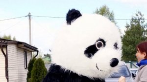 Ростовая кукла Панда - поздравление сюрприз