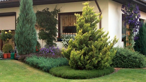 ?Красивый сад своими руками Идеи для вдохновения / Original ideas for landscape design / A - Video