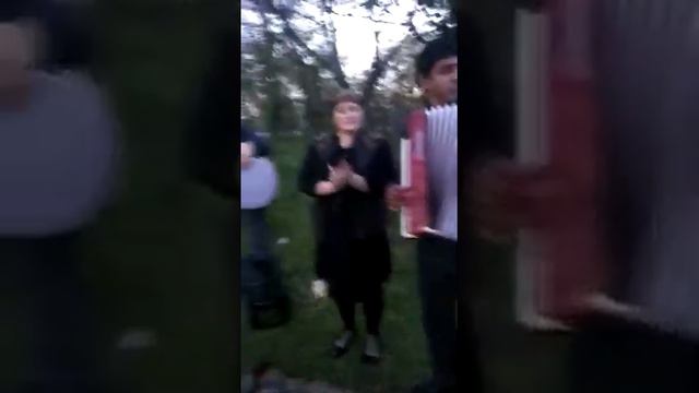 Даргинцы отдыхают.Даргинская песня на аккордеоне смотреть онлайн