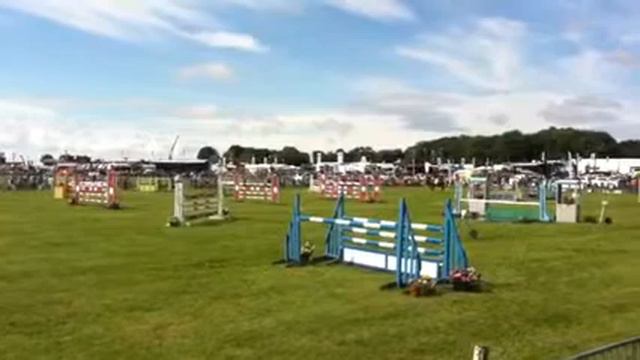 Alano HOYS grade c смотреть онлайн