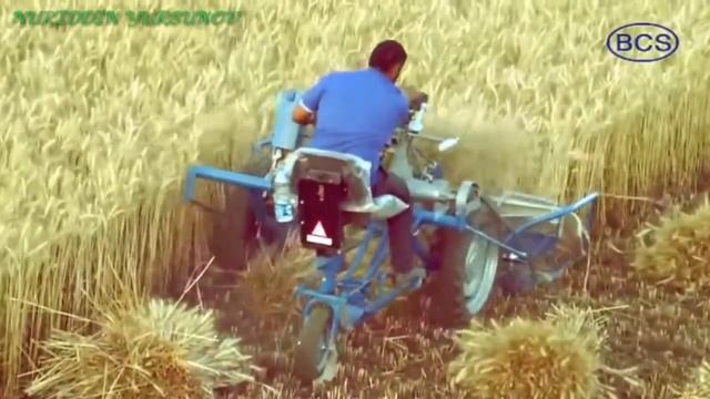 Шоли уриш трактор ёрдамида! смотреть онлайн