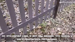 Установка металлических столбов для заборов в землю/грунт