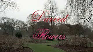 Daveed ?? Flowers смотреть онлайн