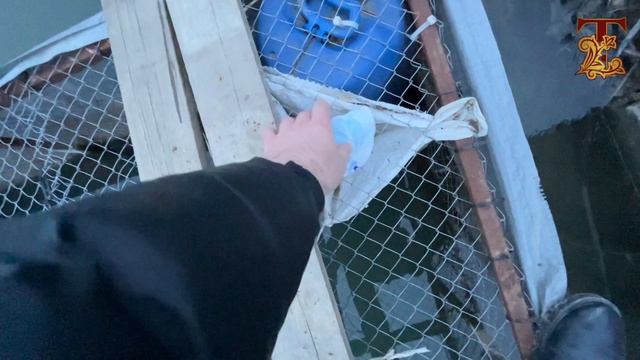 Состояние бестера на 4 февраля 2023 смотреть онлайн