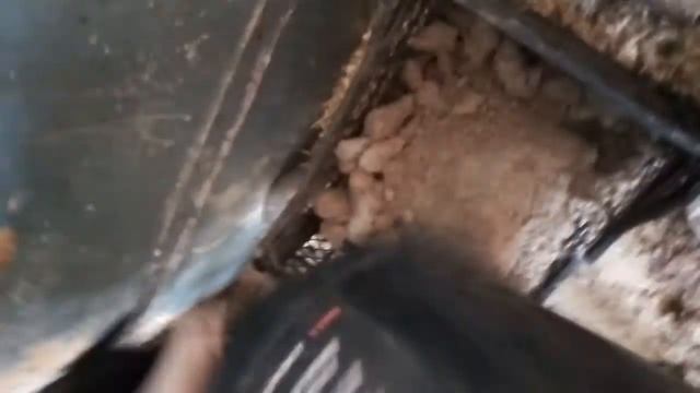 Как и чем Я кормлю своих коз! Сукозных и те что после окота! смотреть онлайн