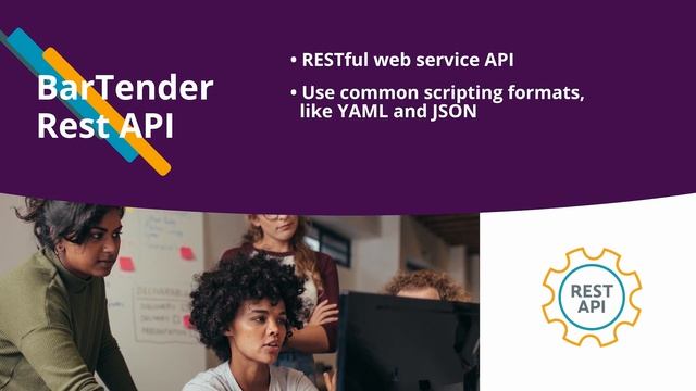 BarTender 2022 REST API смотреть онлайн