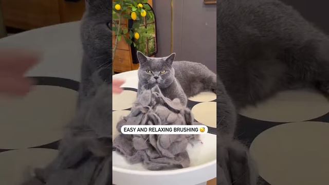 Спа-процедуры смотреть онлайн