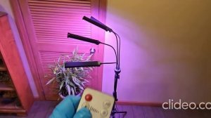 Фитолампа на штативе с таймером и пультом управления, 420 диодов, полный спектр