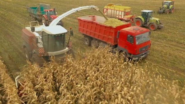 Новый рекорд! 1443 тонн силоса за 8 часов смотреть онлайн