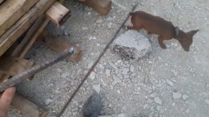 Заземление на счётчик,на участке