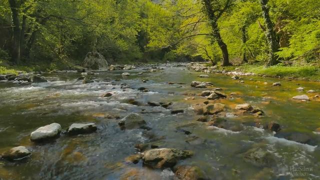 Расслабляющий звук реки