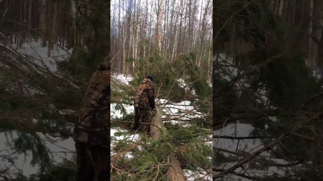 Пилка сучков смотреть онлайн