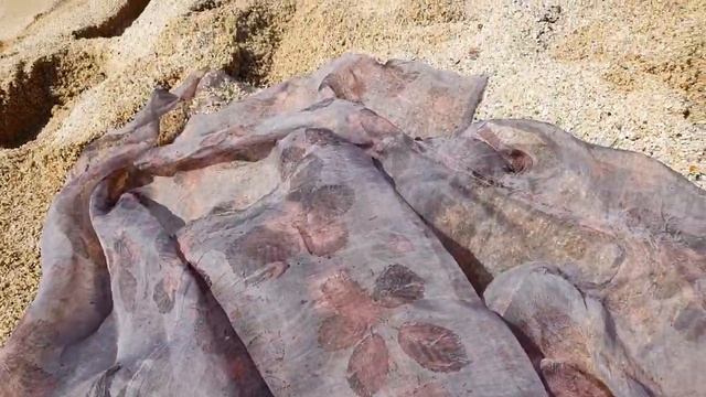 Органза смотреть онлайн