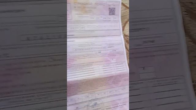 #михаилсерафимович страховой полис смотреть онлайн