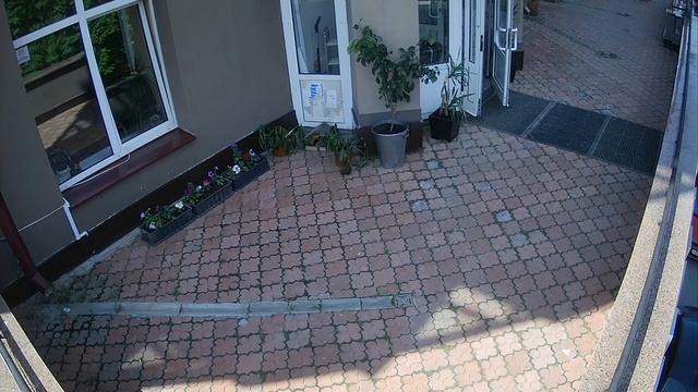 DS-T303 2.8mm вход в офис день смотреть онлайн