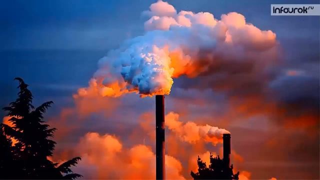 "Что такое экология" смотреть онлайн