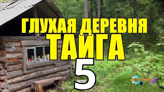  смотреть онлайн