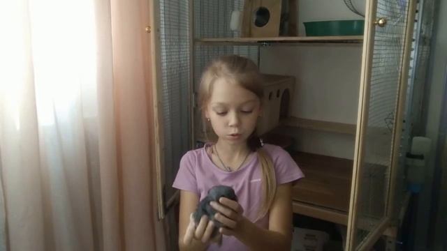 Факты о шиншиллах часть 2 смотреть онлайн