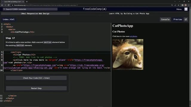 Learn HTML by Building a Cat Photo App - Step 17 смотреть онлайн