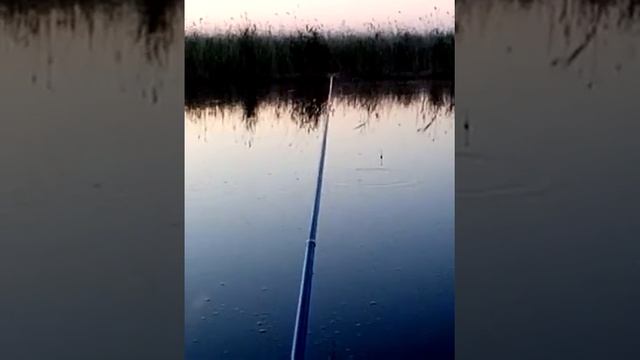 НСО г.ЧУЛЫМ Озеро Иткуль смотреть онлайн