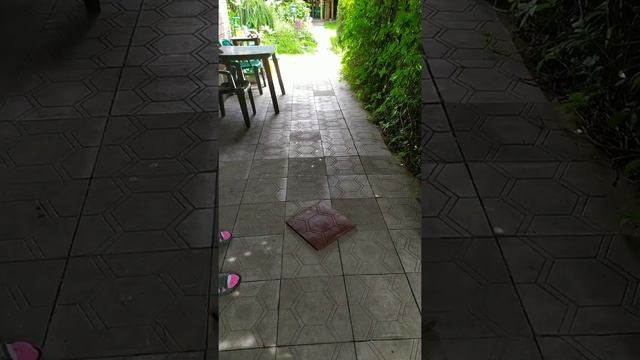 Полимерно-песчаная тротуарная плитка. Бросаем - не бьется. смотреть онлайн