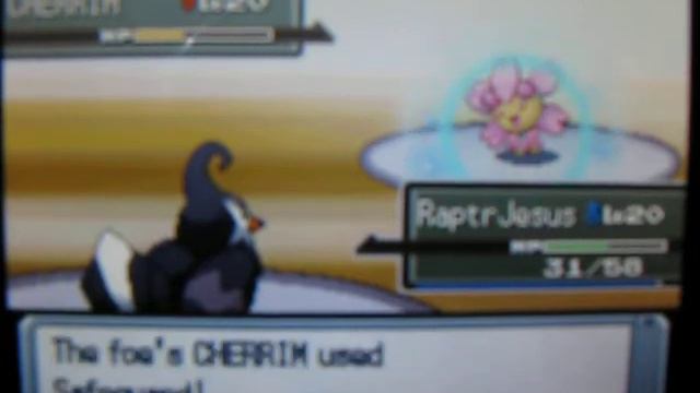 Pokemon Platinum: Vs Gardenia смотреть онлайн