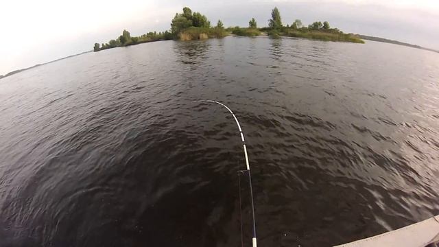 Трофейные окуня. смотреть онлайн