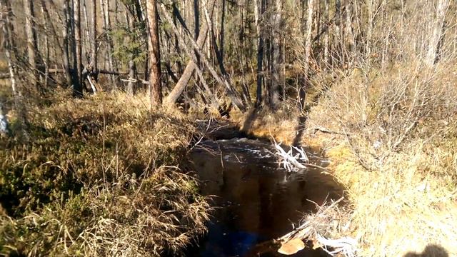 Река Эльга смотреть онлайн