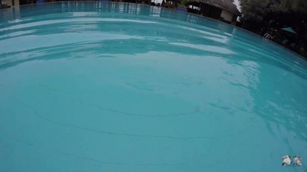 Canareef Resort Maldives - Tropical Paradise